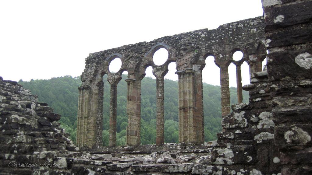 The image depicts the ruins of an ancient stone structure, likely part of a historic abbey or church. The focal point is a row of tall, arched windows that are missing their glass and some of their stonework, leaving only the arched frames standing. The arches are constructed from weathered stone, showing signs of age and erosion.
Through the empty arches, a lush, green forest is visible, providing a stark contrast between the decaying man-made structure and the vibrant natural landscape beyond. The ground within the ruins is strewn with rubble and broken stones, further emphasizing the passage of time and the state of disrepair. The overall scene evokes a sense of history, mystery, and the enduring beauty of ancient architecture amidst nature.