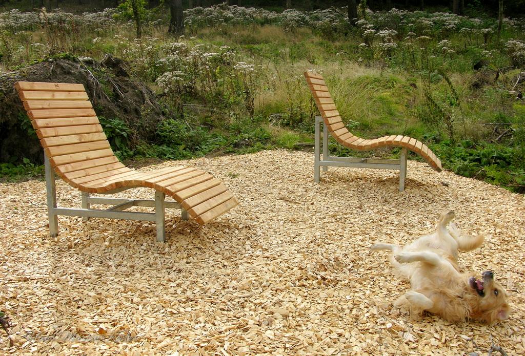 Das Bild zeigt einen Außenbereich, der mit Holzspänen bedeckt ist. Im Vorder- und Mittelgrund stehen zwei moderne Holz-Liegestühle mit Metallgestell. Die Liegestühle haben eine geschwungene Form und sind so gestaltet, dass sie bequem aussehen.
Im rechten unteren Bereich des Bildes liegt ein goldener Hund auf dem Rücken in den Holzspänen. Der Hund scheint sich zu entspannen oder zu spielen, die Pfoten von sich gestreckt und den Mund leicht geöffnet.
Im Hintergrund sieht man grünes Gestrüpp und Büsche, was darauf hindeutet, dass sich dieser Bereich in einem Garten oder einer natürlichen Umgebung befindet. Die Atmosphäre wirkt entspannt und idyllisch.