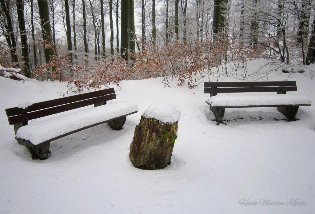 Das Bild zeigt eine winterliche Szene in einem Wald. Im Vordergrund sind zwei mit Schnee bedeckte Holzbänke zu sehen, die sich gegenüberstehen und einen kleinen Freiraum bilden. Zwischen den Bänken steht ein Baumstumpf, der ebenfalls mit einer dünnen Schneeschicht bedeckt ist.
Der Waldboden ist mit Schnee bedeckt, und im Hintergrund sind schneebedeckte Bäume und Büsche zu erkennen, deren Zweige teilweise mit Schnee beladen sind. Die Stämme der Bäume sind kahl, und einige Blätter, die noch an den Büschen hängen, sind braun gefärbt. Die Atmosphäre wirkt ruhig und friedlich, typisch für eine verschneite Waldlandschaft im Winter.