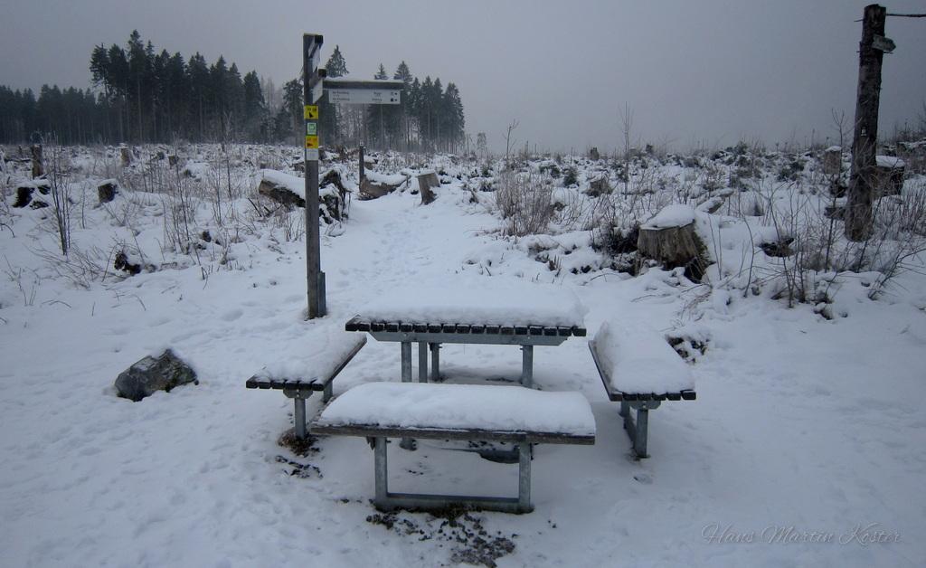 Das Bild zeigt eine verschneite Landschaft, vermutlich in einem Wald- oder Naturgebiet. Im Vordergrund steht eine mit Schnee bedeckte Sitzgruppe, bestehend aus einem Tisch und zwei angeschlossenen Bänken. Die Sitzgruppe ist aus Holz und Metall gefertigt und wirkt verlassen in der winterlichen Umgebung.
Hinter der Sitzgruppe sind zahlreiche Baumstümpfe und gefällte Bäume zu sehen, was auf eine Abholzung oder Waldbewirtschaftung hindeutet. Im Hintergrund erkennt man einen dichten Wald mit hohen Bäumen, deren Wipfel in den nebligen, grauen Himmel ragen.
Links im Bild steht ein Wegweiser, der an einem Metallpfahl befestigt ist. Die Landschaft wirkt still und einsam, typisch für eine winterliche Waldszene.