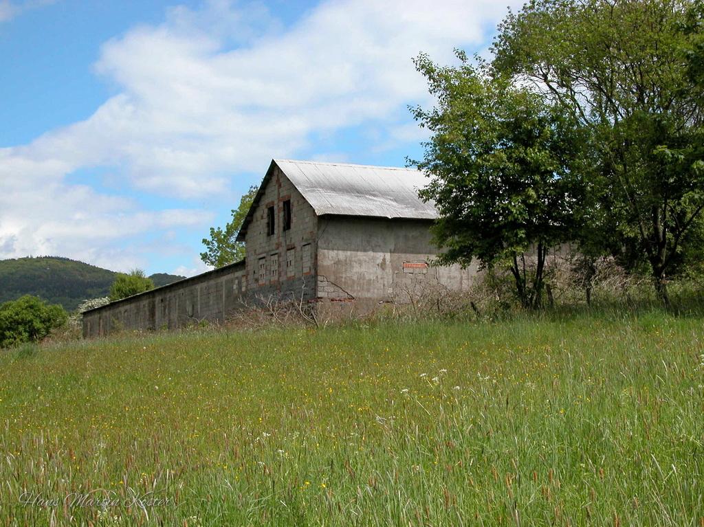 The ruins of the chicken farm beneath Olsberg Hill

May 2004 (Hans Martin Köster)

The image shows a long, weathered rural building standing in the middle of a grassy meadow. The structure has a simple rectangular shape with rough, gray concrete or plaster walls and a sloped metal roof. Small, dark window openings are visible near the top of the front section.

In the foreground, a wide field of green grass dotted with small wildflowers stretches toward the building. To the right, a group of tall leafy trees partially frames the structure, adding shade and depth.

In the background, low hills covered with greenery rise under a partly cloudy blue sky. The overall scene feels quiet and rural, with a slightly abandoned or utilitarian atmosphere.