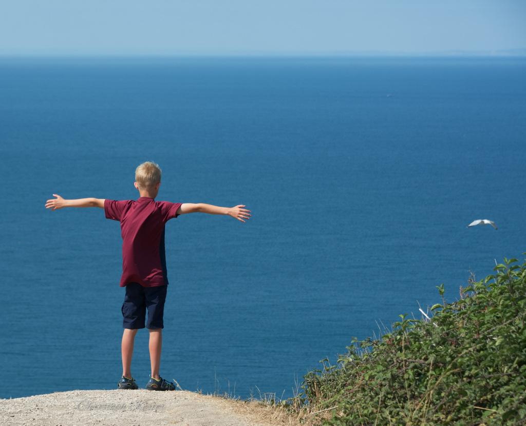 A young person standing on a coastal cliff with arms outstretched, looking over the deep blue sea, with seabirds and scrub-covered slopes in the foreground.